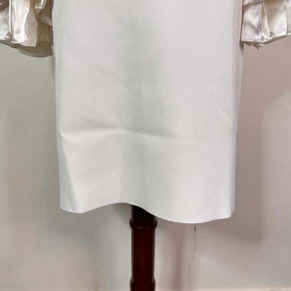 Roksanda White Statement Balloon Sleeve Dress Size 2 NWT Elegant Minimalist - Picture 4 of 15